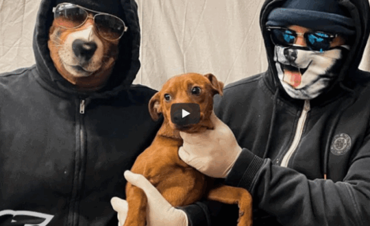 lathremporio-skylon-covid-lockdown