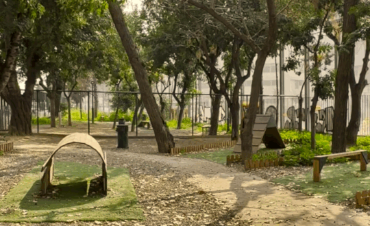 πάρκο σκύλων στη νέα χαλκηδόνα