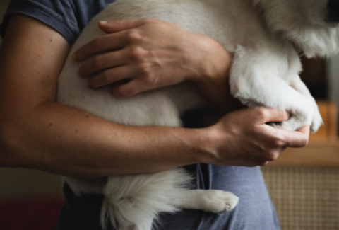 γυναίκα κρατάει στην αγκαλιά της ένα άσπρο σκυλάκι και του πιάνει το ποδαράκι με τρυφερότητα